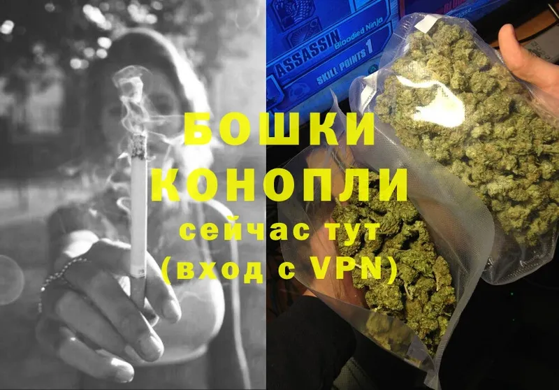 цены   Шлиссельбург  Конопля OG Kush 